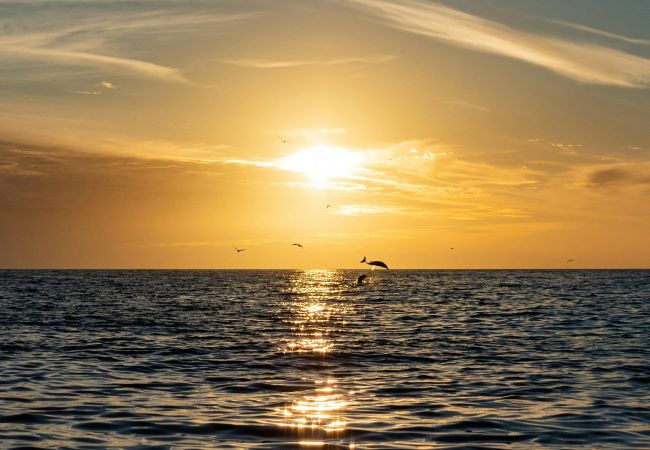 Apartamento em Portimão - Holiday Home Portimão Apartamento em Portimão - Holiday Home Portimão