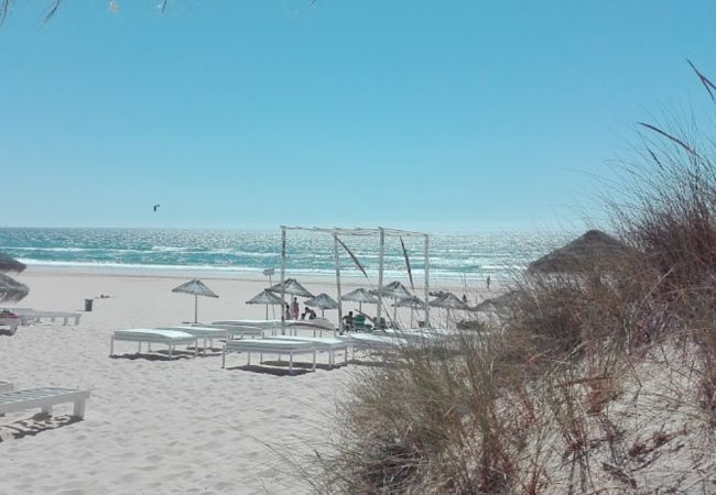 Apartamento em Seixal - Casa da cortiça, Seixal Apartamento em Seixal - Casa da cortiça, Seixal