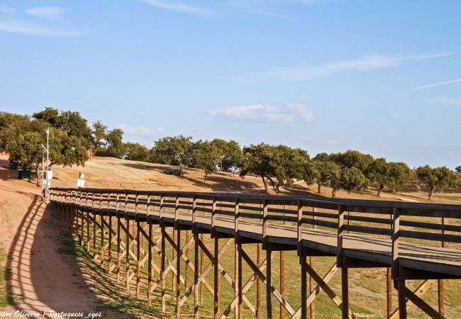 Apartment in Mourão - Paparazzi Mourão Apartment in Mourão - Paparazzi Mourão