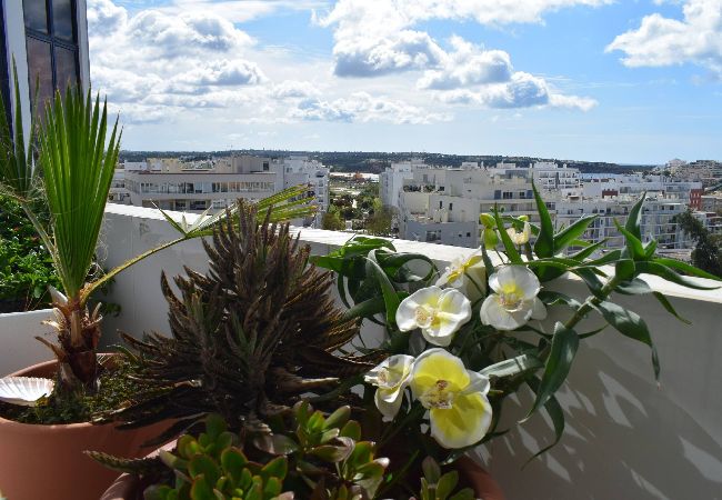 Apartamento en Portimão - Boa Vista Portimão - Lovely space with great views Apartamento en Portimão - Boa Vista Portimão - Lovely space with great views