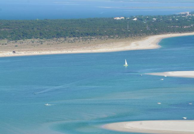 Maison mitoyenne à Sesimbra - Refugio Serra e Mar em Sesimbra - Casa familiar Maison mitoyenne à Sesimbra - Refugio Serra e Mar em Sesimbra - Casa familiar