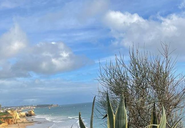 Appartement à Portimão - Sunnyside Suite-Portimão(Great beaches, Golfing) Appartement à Portimão - Sunnyside Suite-Portimão(Great beaches, Golfing)